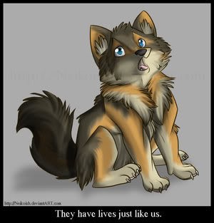 Ling (adoptovala Sakura)